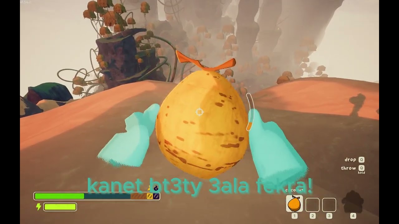She took my coconut 😠