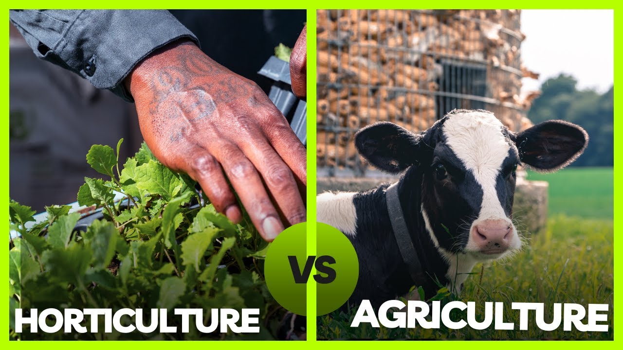 Horticulture vs. Agriculture: You Won't Believe the Surprising Secrets We Unearth!