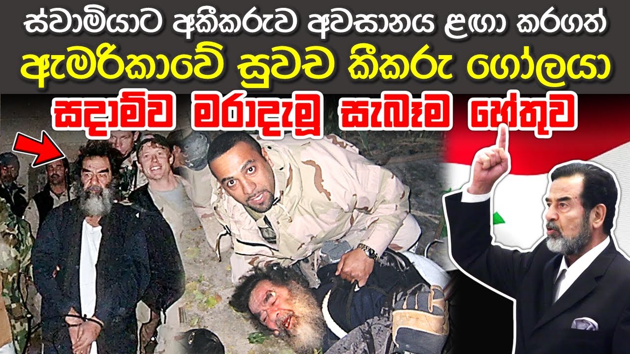 කලෙක ඇමරිකාවේ හොඳම මිතුරා වූ සදාම්ව එල්ලා මරුවේ ඇයි? | Why did the US Eliminate Saddam Hussein?