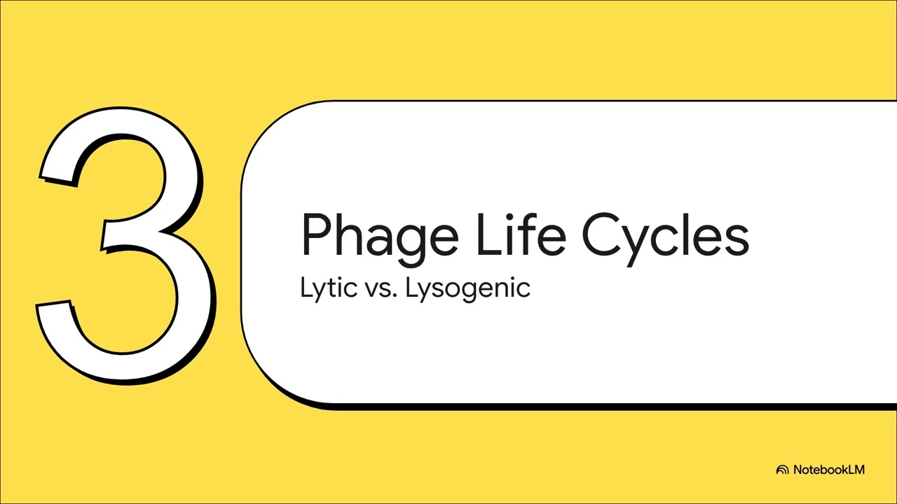 Genetic Exchange in Prokaryotes | Transformation & HGT