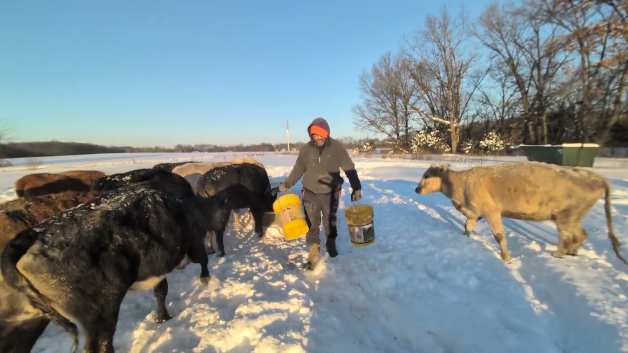 January 26, 2026 cold Monday on the farm 