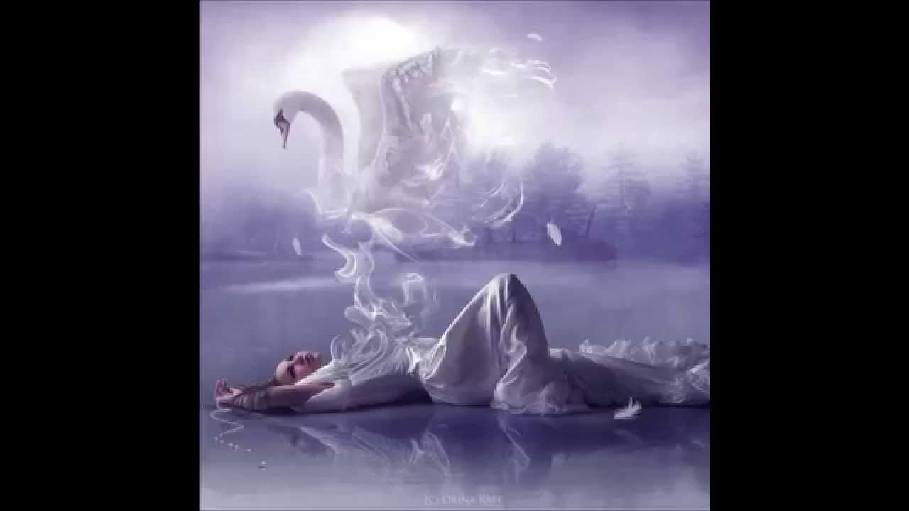 Nightwish - Swanheart cover flute (Gabriele Guarino)