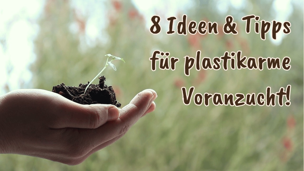 Eigenes Gemüse plastikarm oder plastikfrei vorziehen!