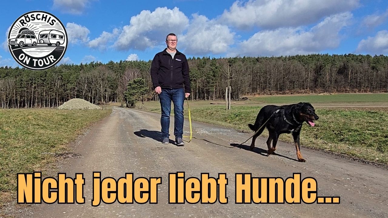 Camping mit Hund – Warum Rücksicht so wichtig ist