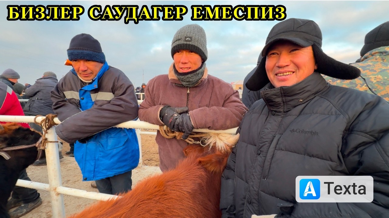 26-ФЕВРАЛЬ/2026/ХАЛКАБАД МАЛ БАЗАРЫ/СКОТНЫЙ РЫНОК/МАЛ БАЗАР 2026/ДЕМ БЕРМЕС МАЛ БАЗАР