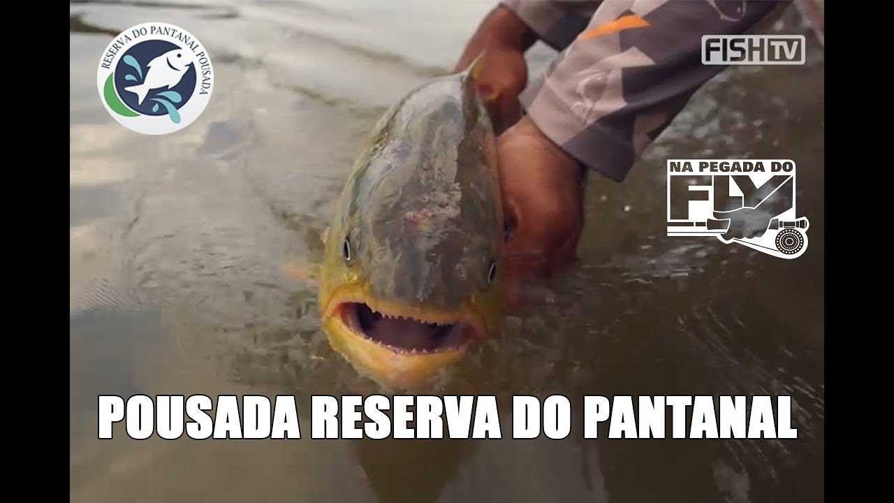 Na Pegada do Fly - Fish TV - Pousada Reserva do Pantanal