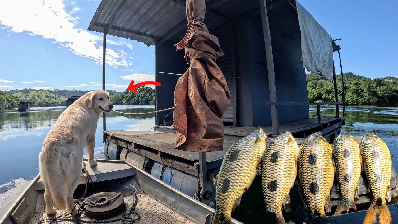 Acampamento verdadeiro aquário natural dos peixes , Acampamento e pescaria!