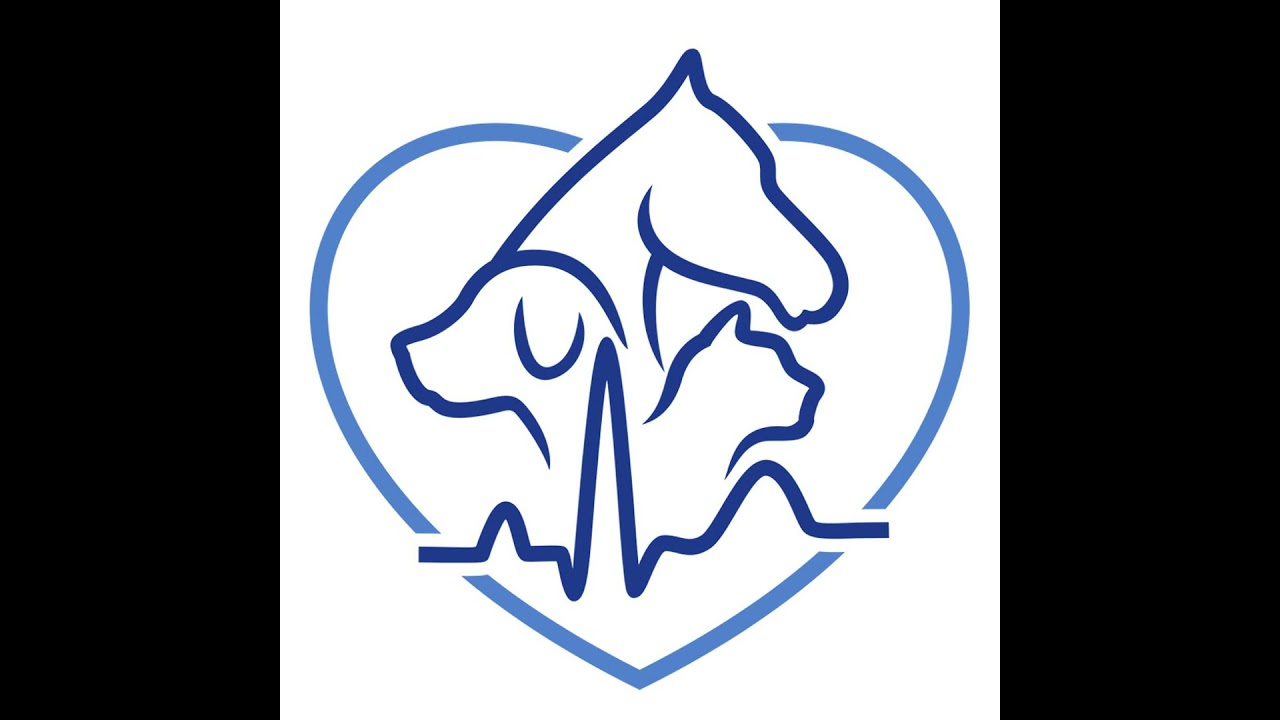 Veterinary Specialism, with Dr Julie Rosser, CEO of the European Board of Veterinary Specialisation