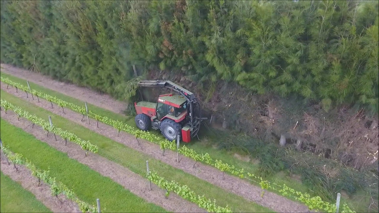 Hedge Trimming NZ