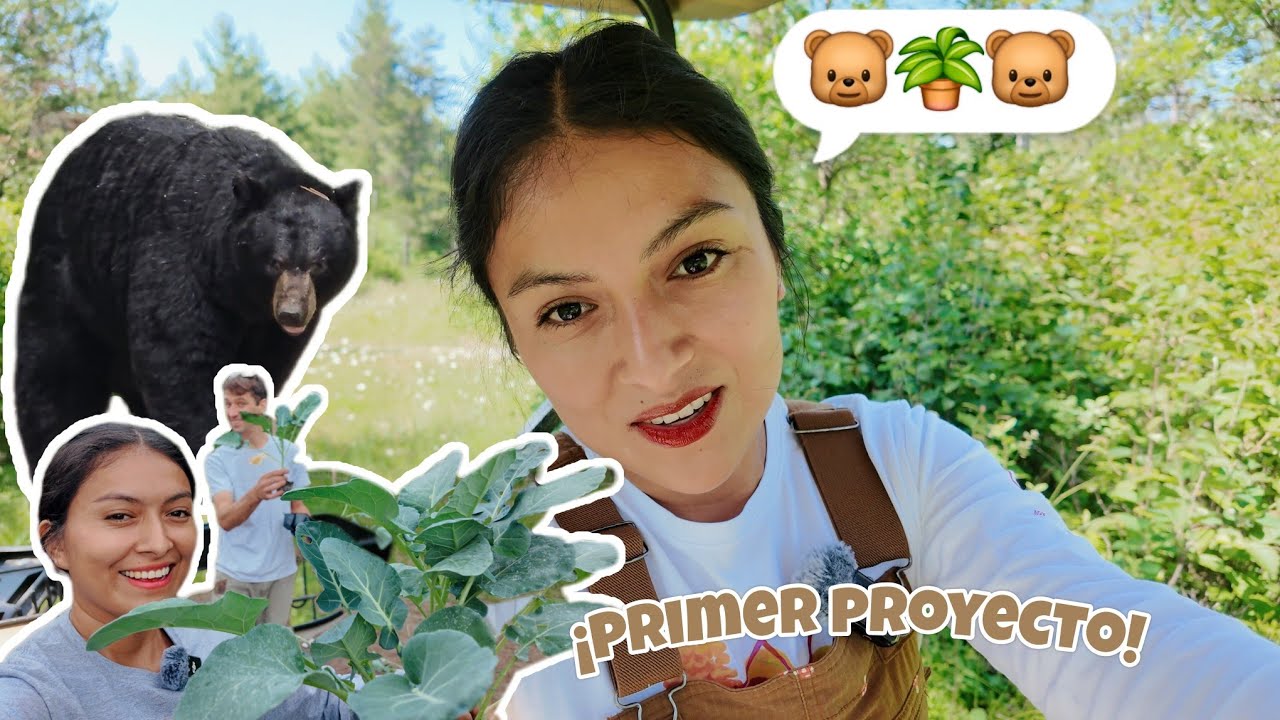 NUESTRO PRIMER PROYECTO EN USA🇺🇸🪴| LOS osos andan sueltos 🐻😱🫢
