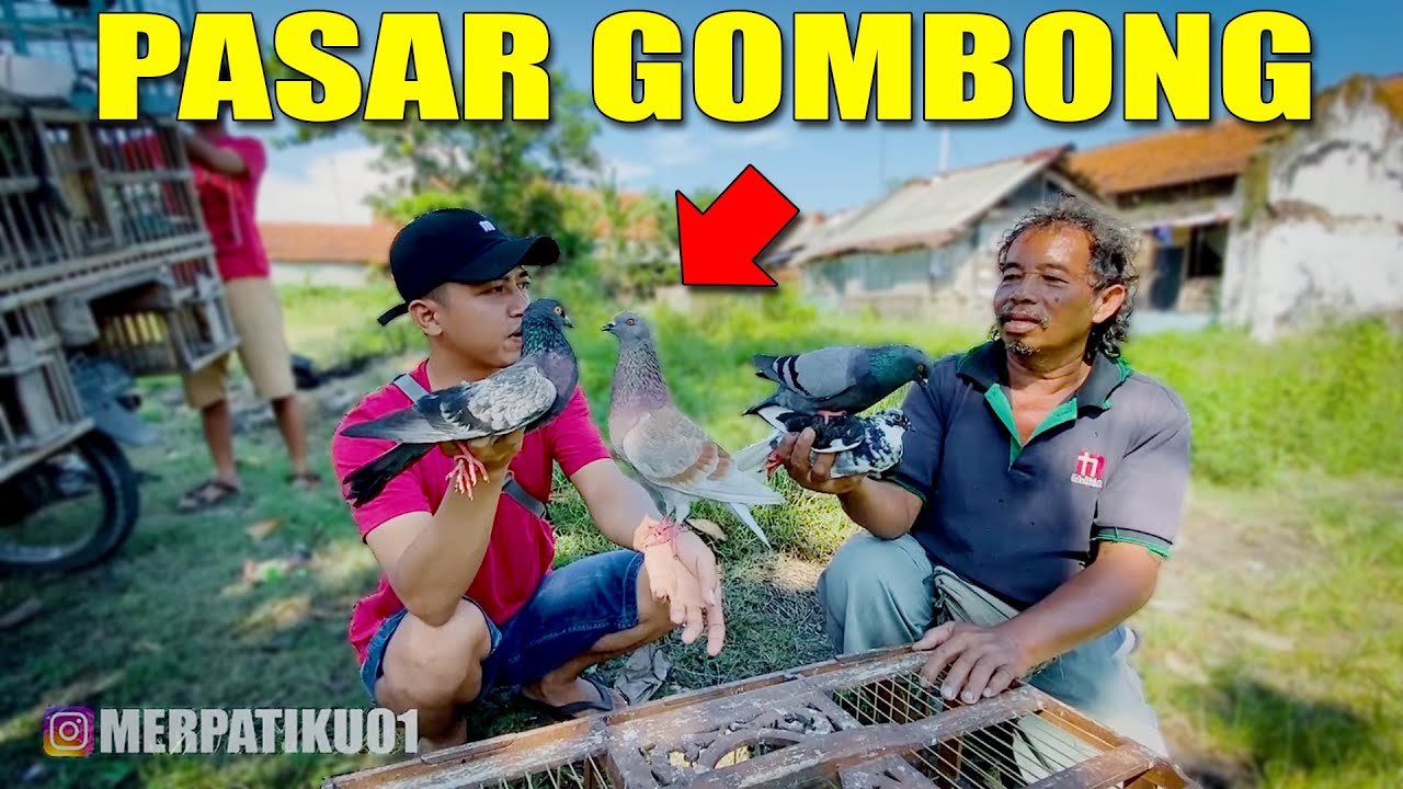 HUNTING MERPATI DIPASAR GOMBONG - KEBUMEN