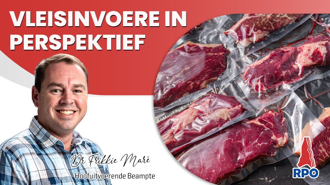 Vleisinvoere in Perspektief