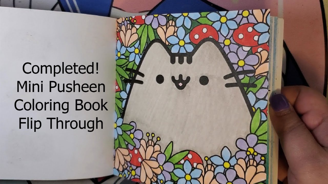 Completed Mini Pusheen Coloring Book Flip Through
