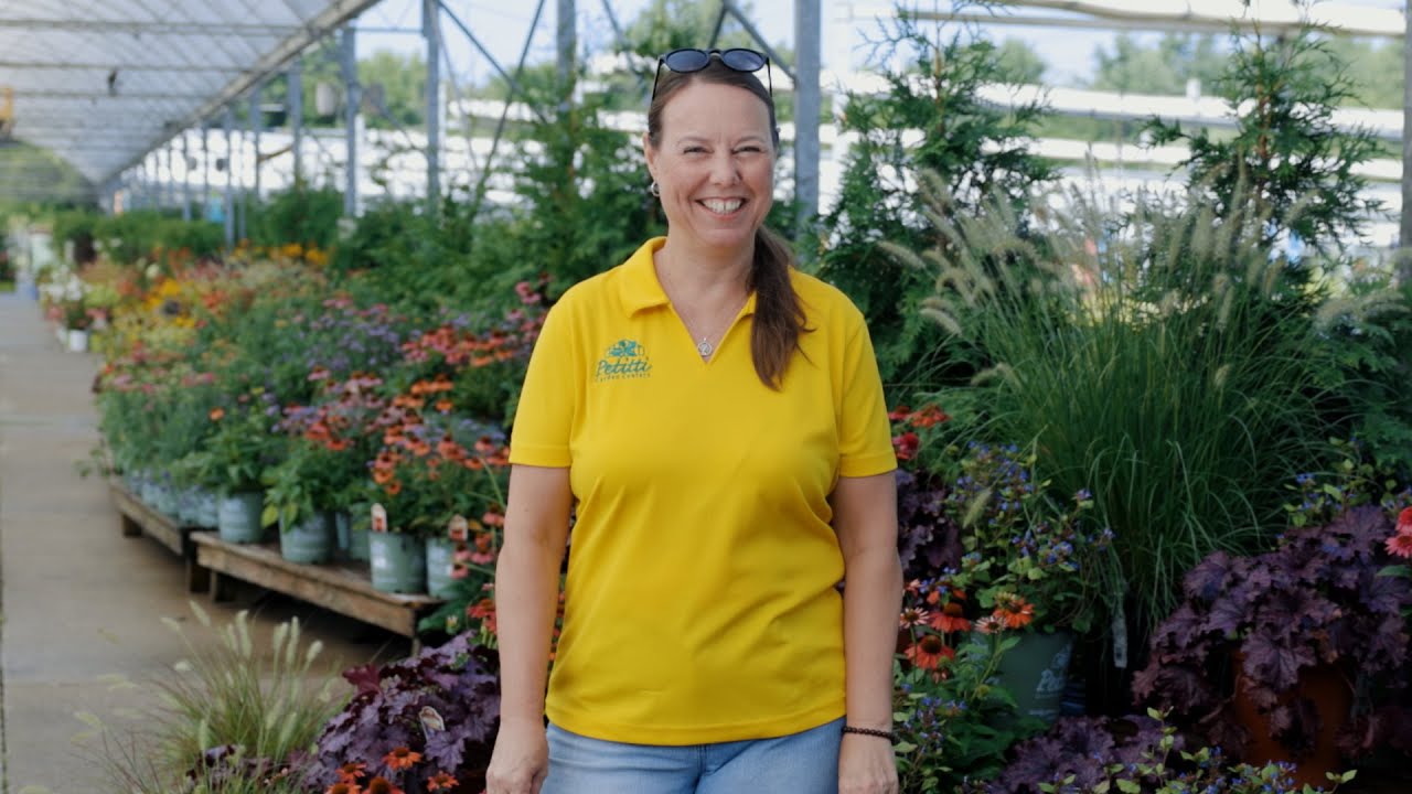 PETITTI | What's in Store Late Summer 2025