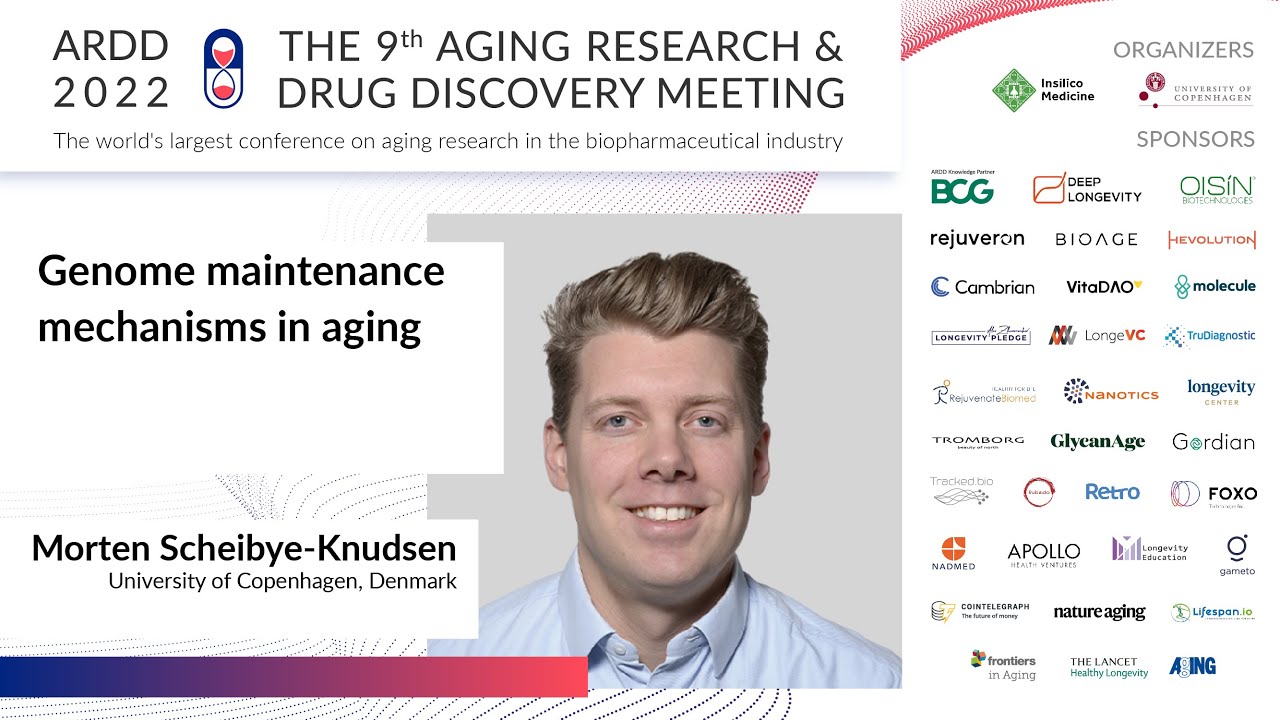 Morten Scheibye-Knudsen at ARDD2022: Genome maintenance mechanisms in aging