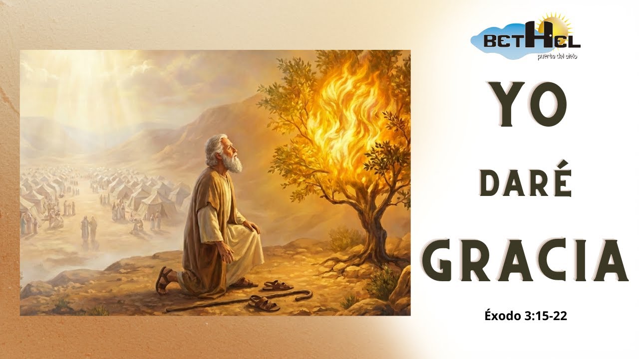 YO DARÉ GRACIA