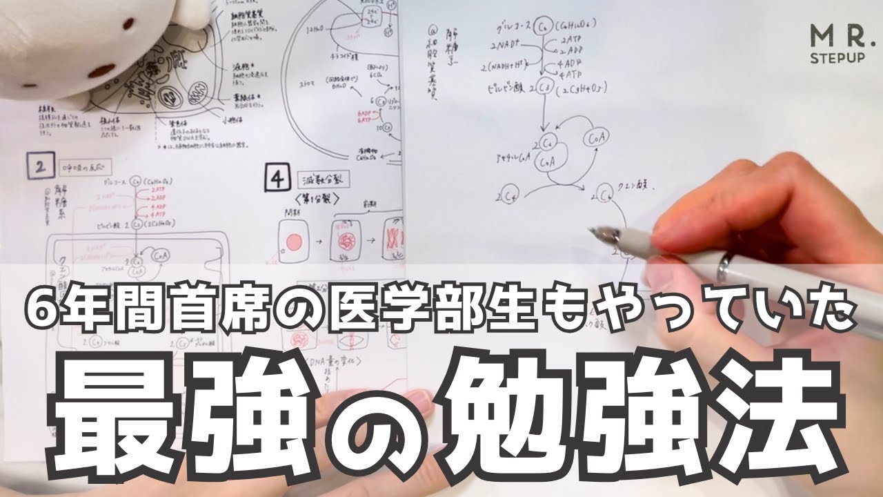 【最強の勉強法】医学部6年間首席がやっていた「B4白紙法」がすごい！