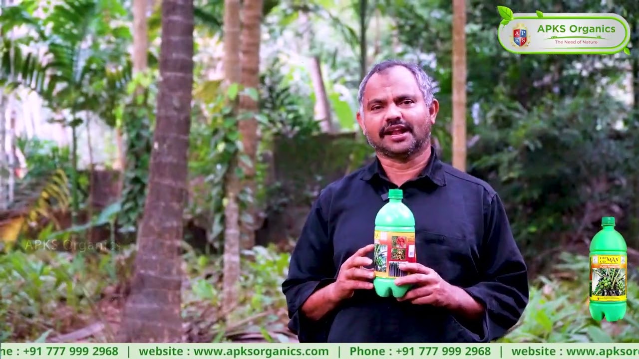 Coconut Farmer Mr. Komukutti from Malappuram Shares His Results!