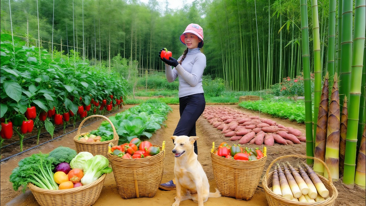 Harvest, Sell, And Cook With Red Bell Peppers, Mixed Vegetables, Sweet Potatoes, And Bamboo Shoots