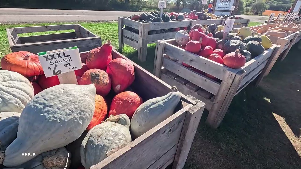 PUMPKIN FARM CANADA 2025