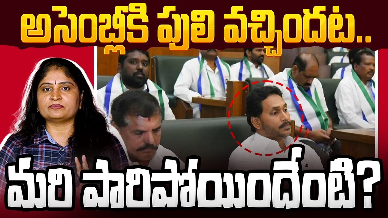 అసెంబ్లీకి పులి వ‌చ్చింద‌ట‌ మ‌రి పారిపోయిందేంటి Jagan Walkout | YCP Leaders Dharna In AP Assembly