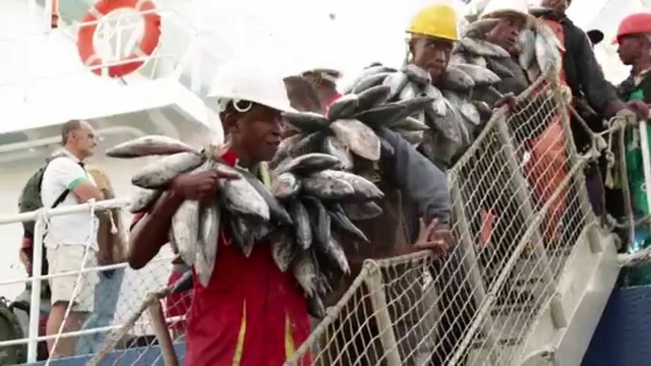 Des thons et des hommes, Océan Indien  Madagascar- TUNA INDUSTRY, Indian Ocean