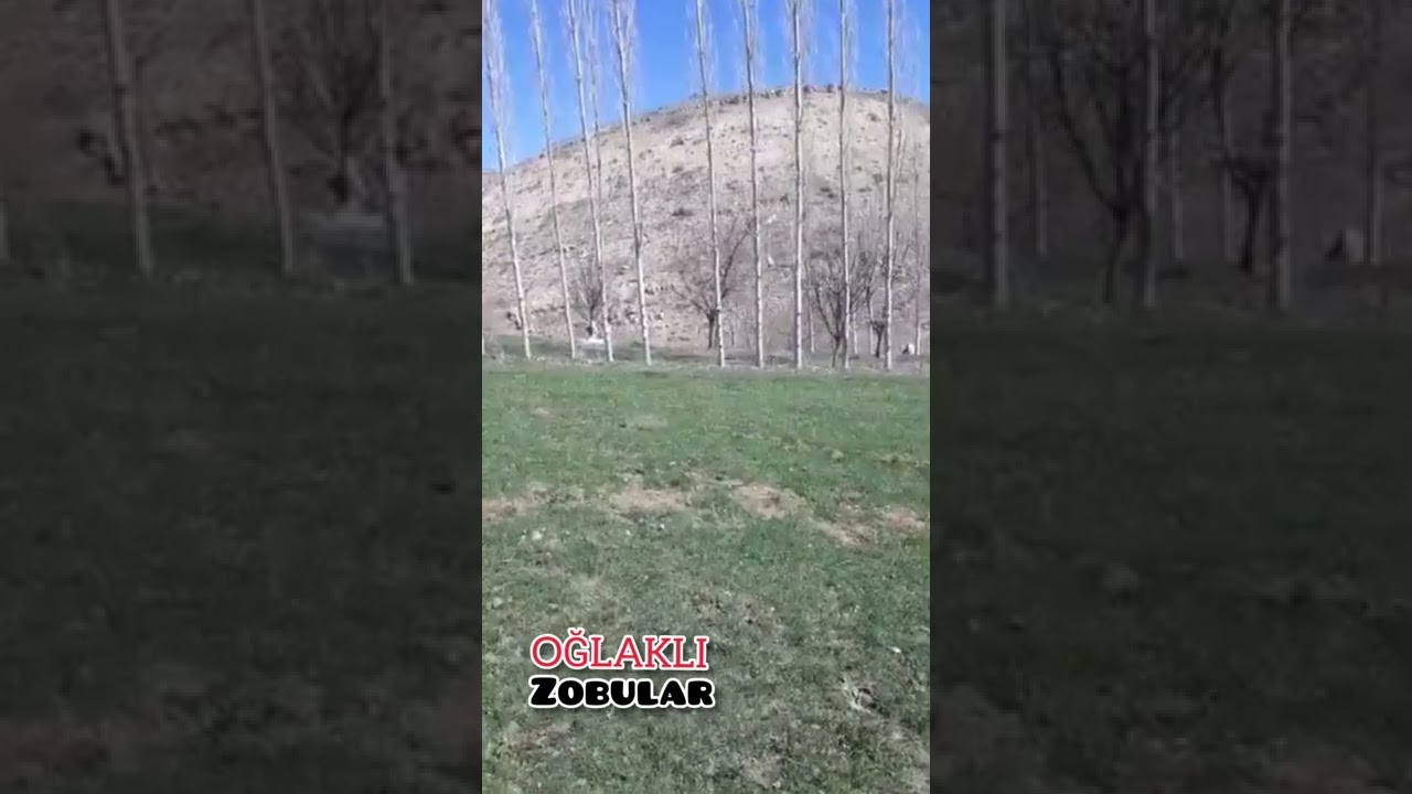 zobular köyü KANGAL