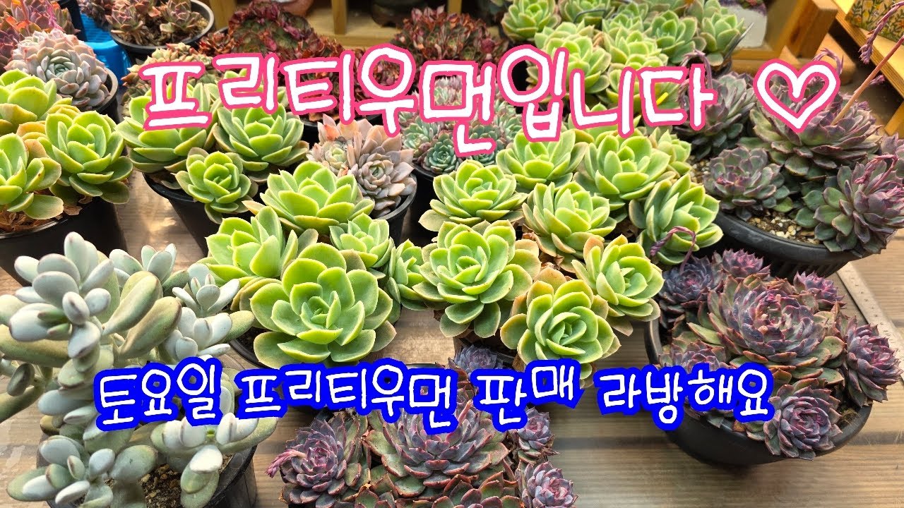26.02.21.398회,토요일 프리티우먼 판매 라방해요