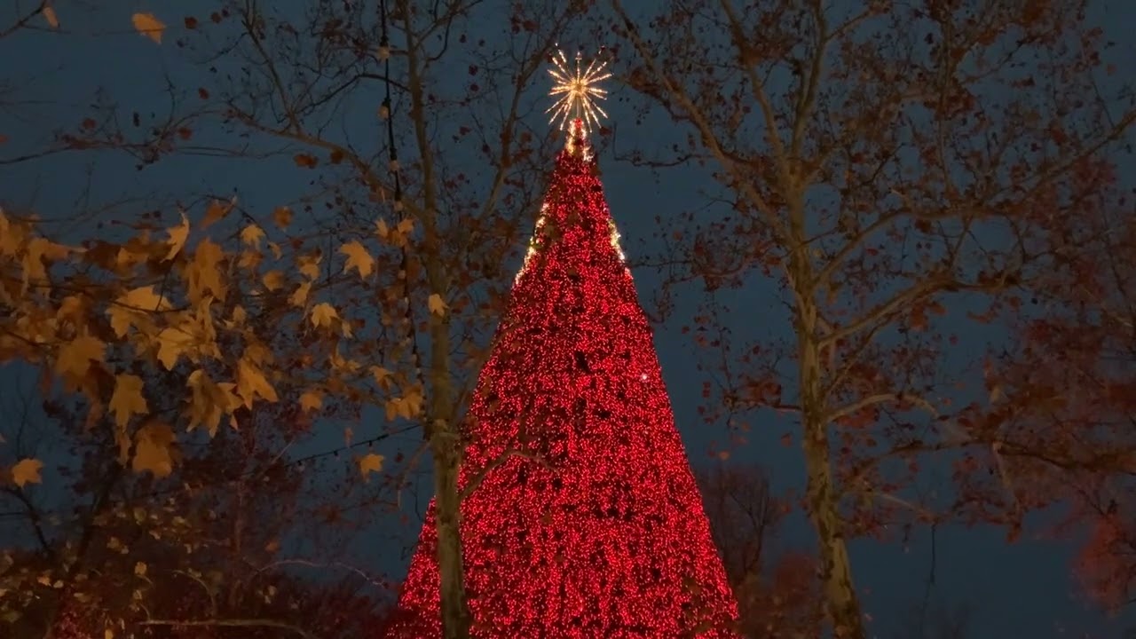 New Silver Dollar City Christmas Tree - Carol of the Bells