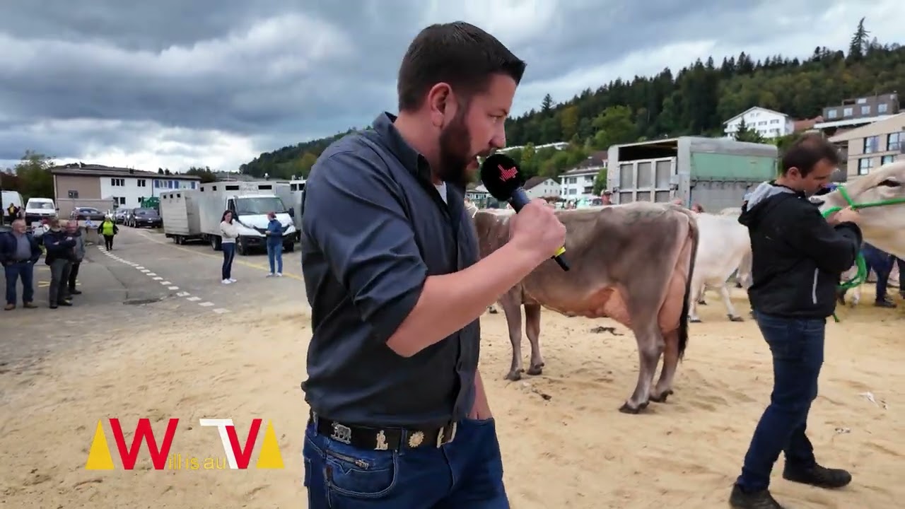 Braunvieh-Schau Willisau 2024