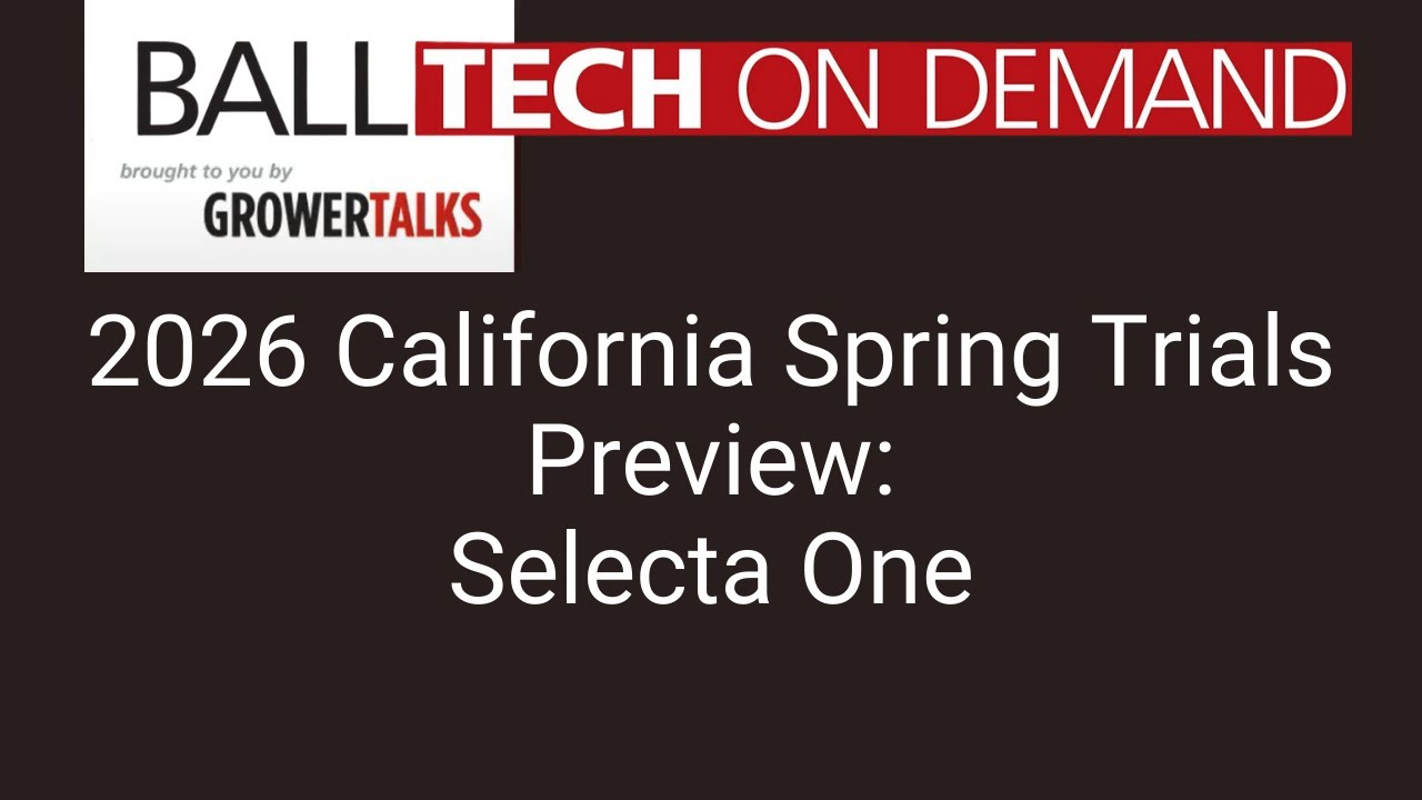 2026 California Spring Trials Preview: Selecta One
