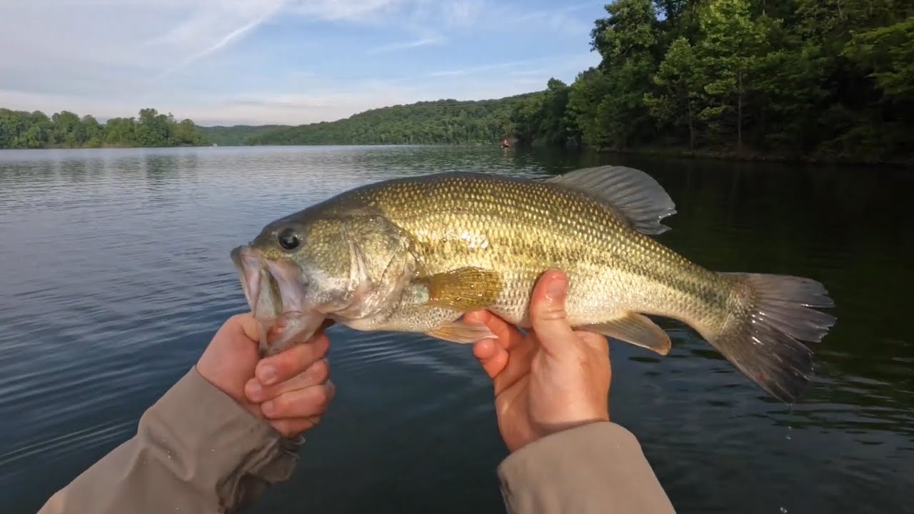 Kayak Bass’n on My Local Reservoir Lake