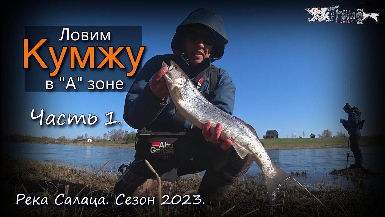 Ловим кумжу на реке Салаца 2023. Часть 1.