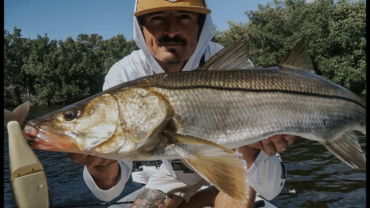 Throwing big baits out in the glades