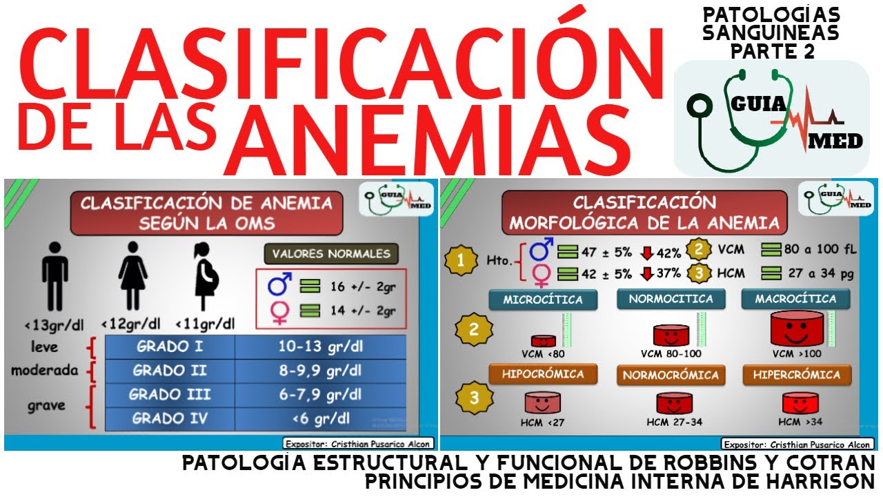 TIPOS DE ANEMIAS | GuiaMed