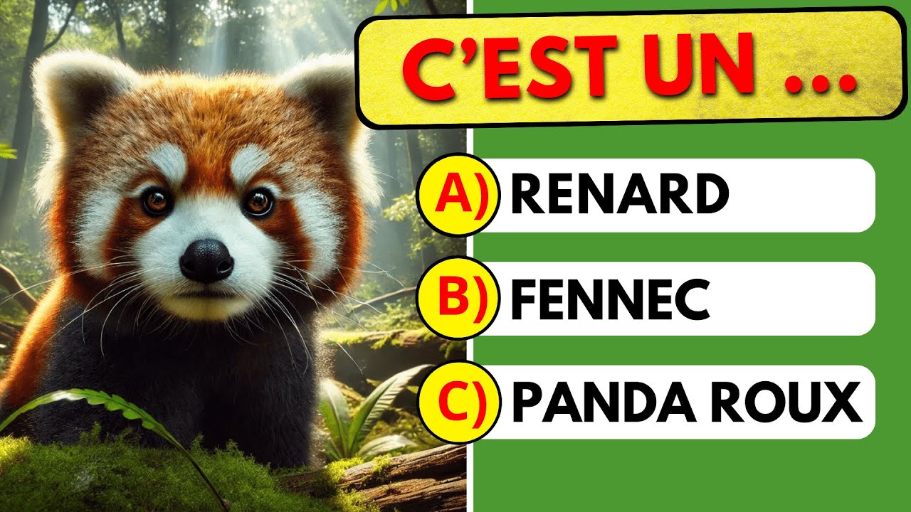 Devine l'ANIMAL en 3 secondes ! Quiz 50 animaux