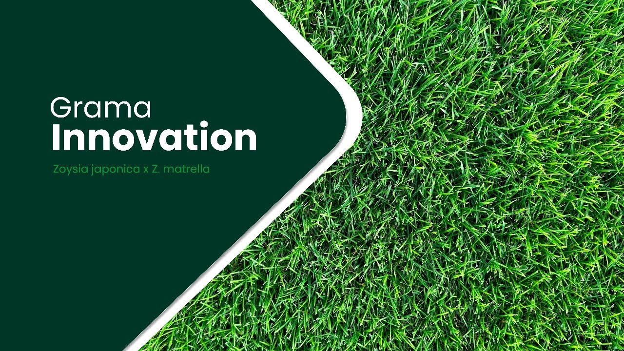 Apresentamos a Grama Innovation! 🌿