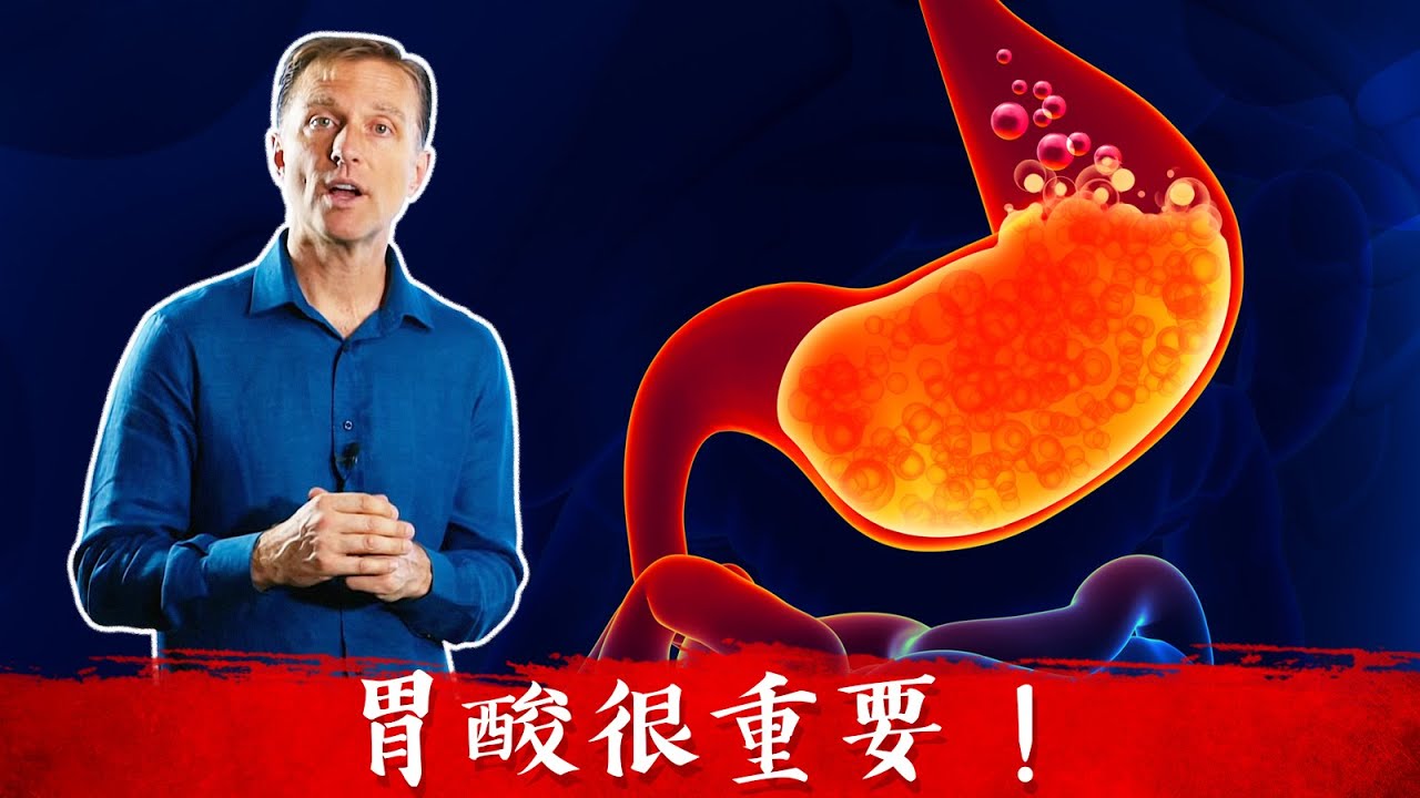 胃酸很重要,胃酸不足9症狀,柏格醫生 Dr Berg