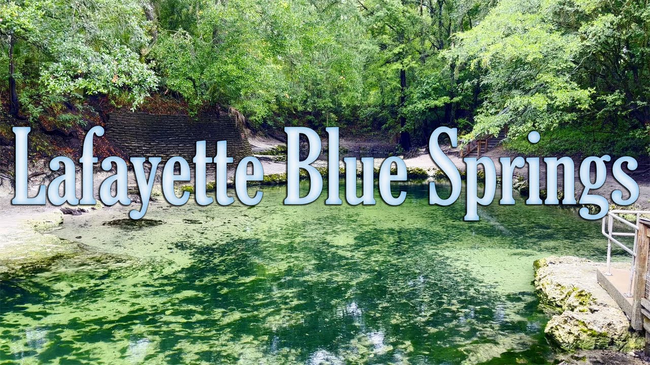 Diving Lafayette Blue Springs on the Suwannee River