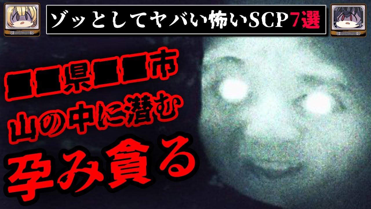 【全てがヤバい】ゾッとする怖いSCP7選【ゆっくり解説/ホラー】
