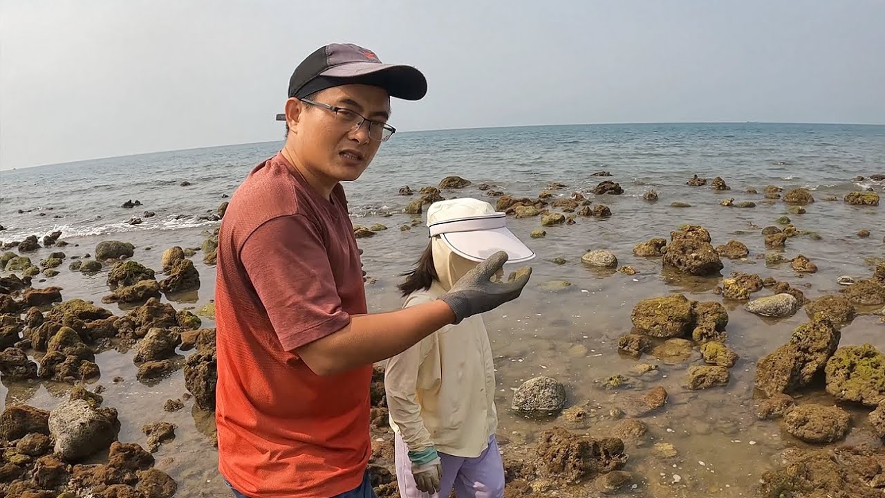 渔夫带上女儿去赶海，捡海螺抓螃蟹，丰收的感觉太开心了