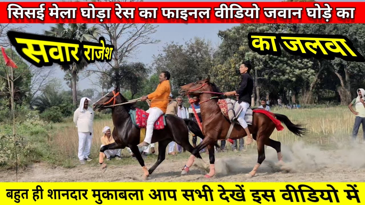 सिसई मेला घोड़ा रेस का फाइनल वीडियो जवान घोड़े का आप सभी देख रहे हैं