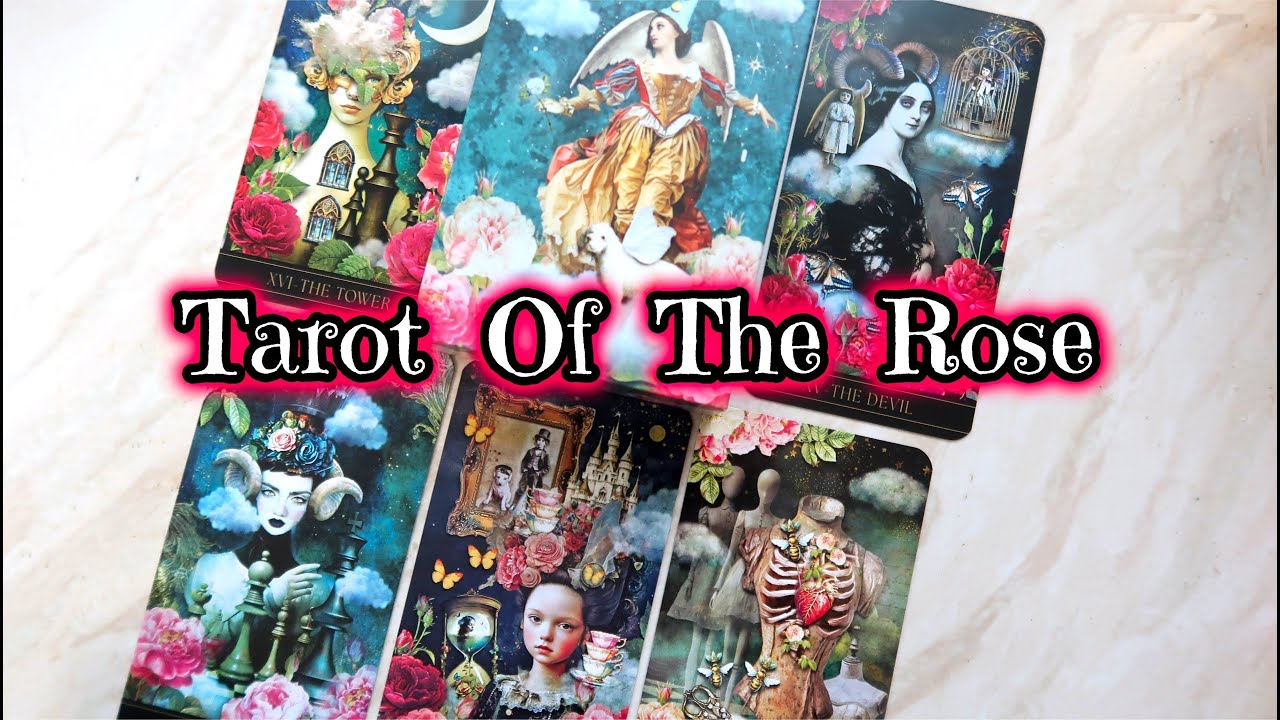 Tarot Of The Rose by Zera DeRose 🌹 Unboxing Cards, Review, Flip Through, Honest Opinion