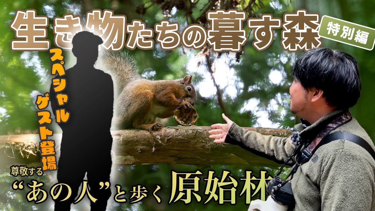 【生き物たちの暮す森｜特別編】スペシャルゲストと春日山原始林の隠れた魅力をめぐる｜The Forest Where Life Goes On