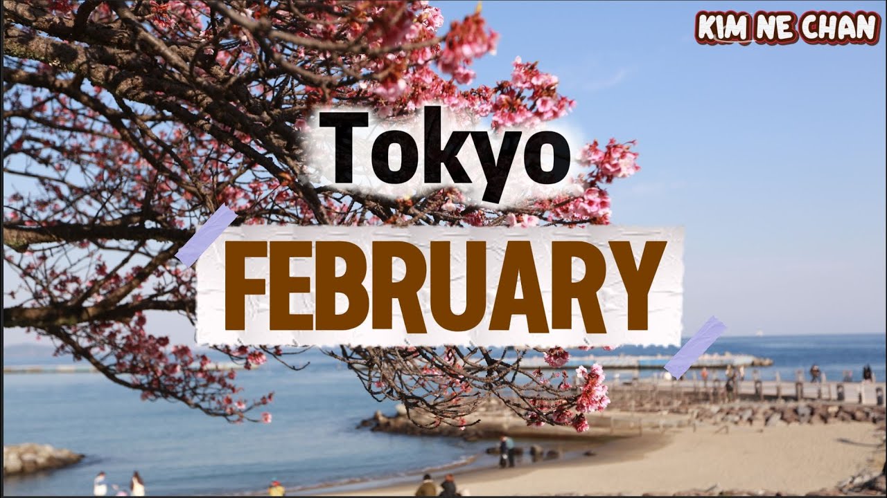 Visit Japan in February Tokyo Japan | Weather, Festivals, Things to Do  #japandaytrip #japanwinter