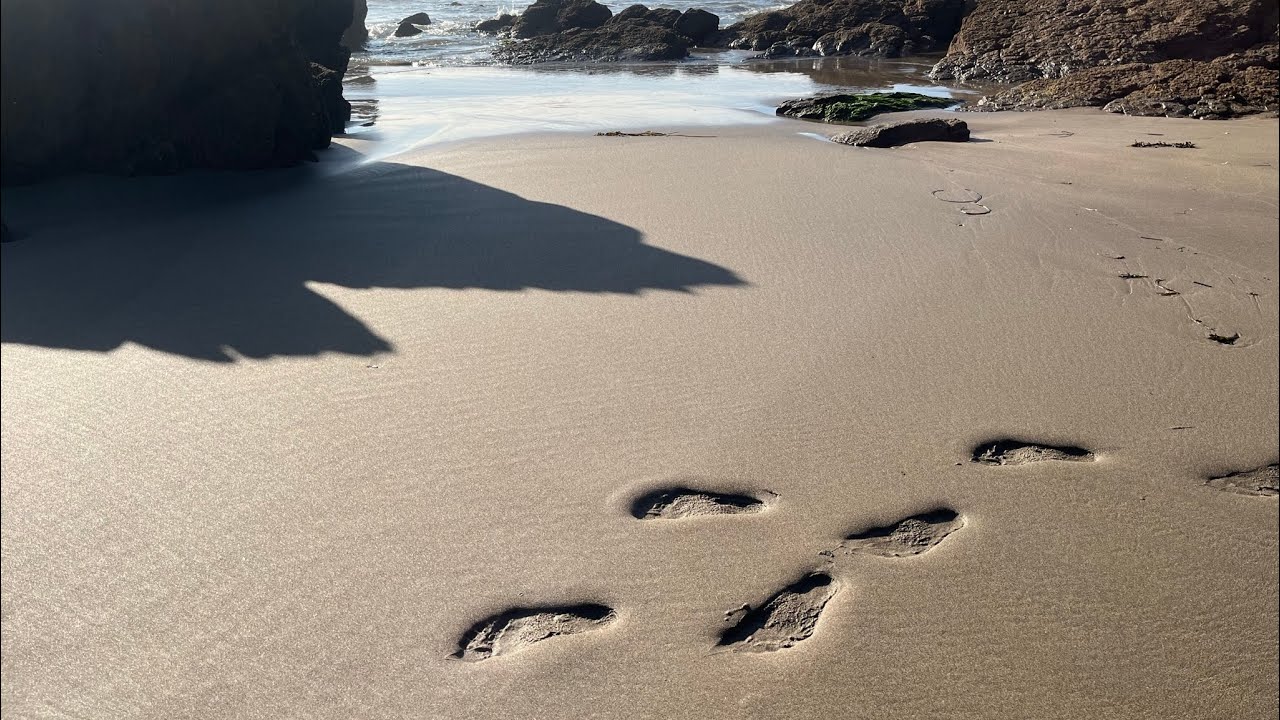 WHITSAND BAY-Cornwall's Hidden Gem/ Amazing cliffs/ Marine life/ Lovely beach/Lovely waves/ 4K video