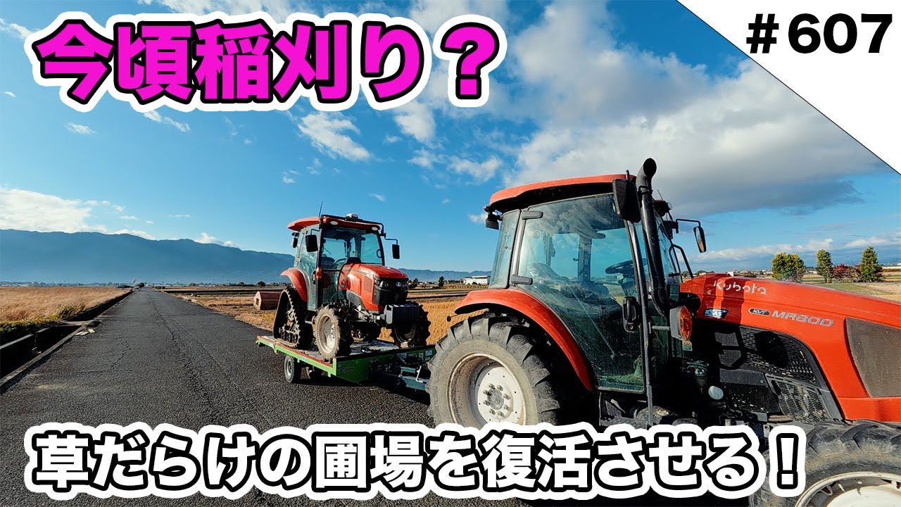 今頃稲刈り？　草だらけの圃場を復活させました！