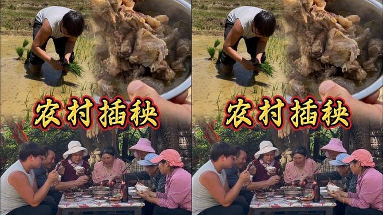 又是一年插秧季，小时候插秧的场景您还记得吗？#洋芋锅 #记录真实生活 #农村美食 #洋忆锅