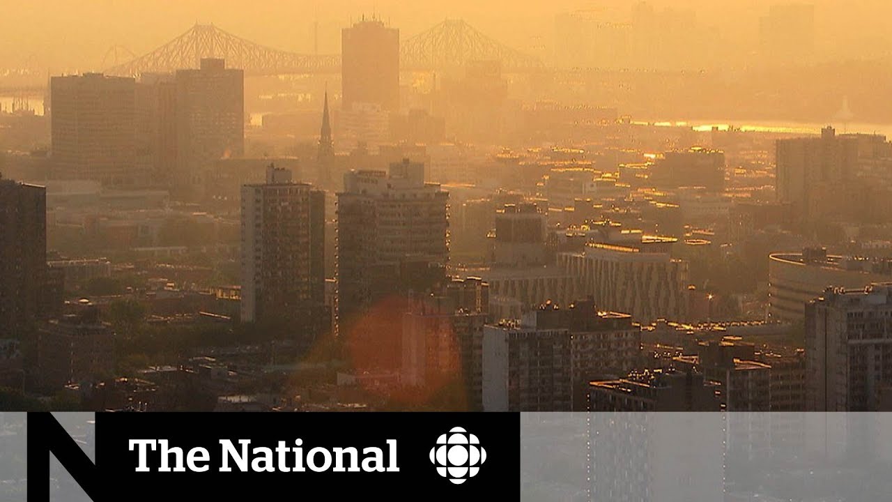 Extreme heat blamed for 6 deaths in Montreal