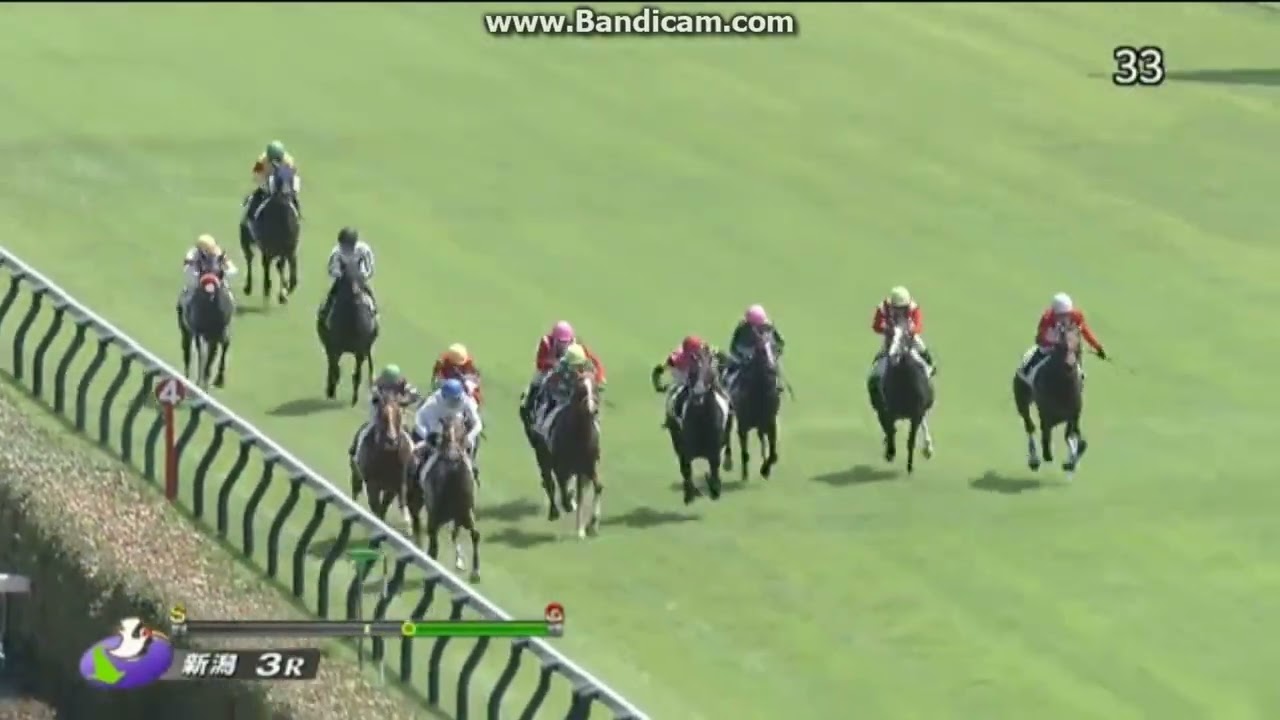 プリティーミズホ　2歳未勝利